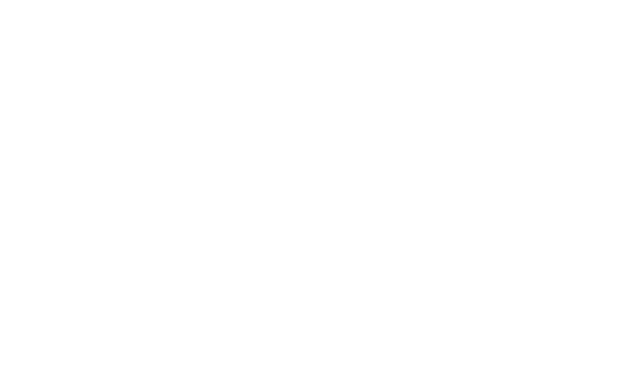i-EM
