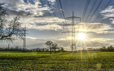 g-EM services: focus on Vegetation monitoring system