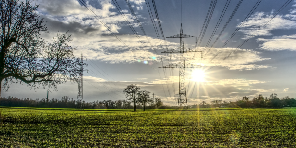 g-EM services: focus on Vegetation monitoring system